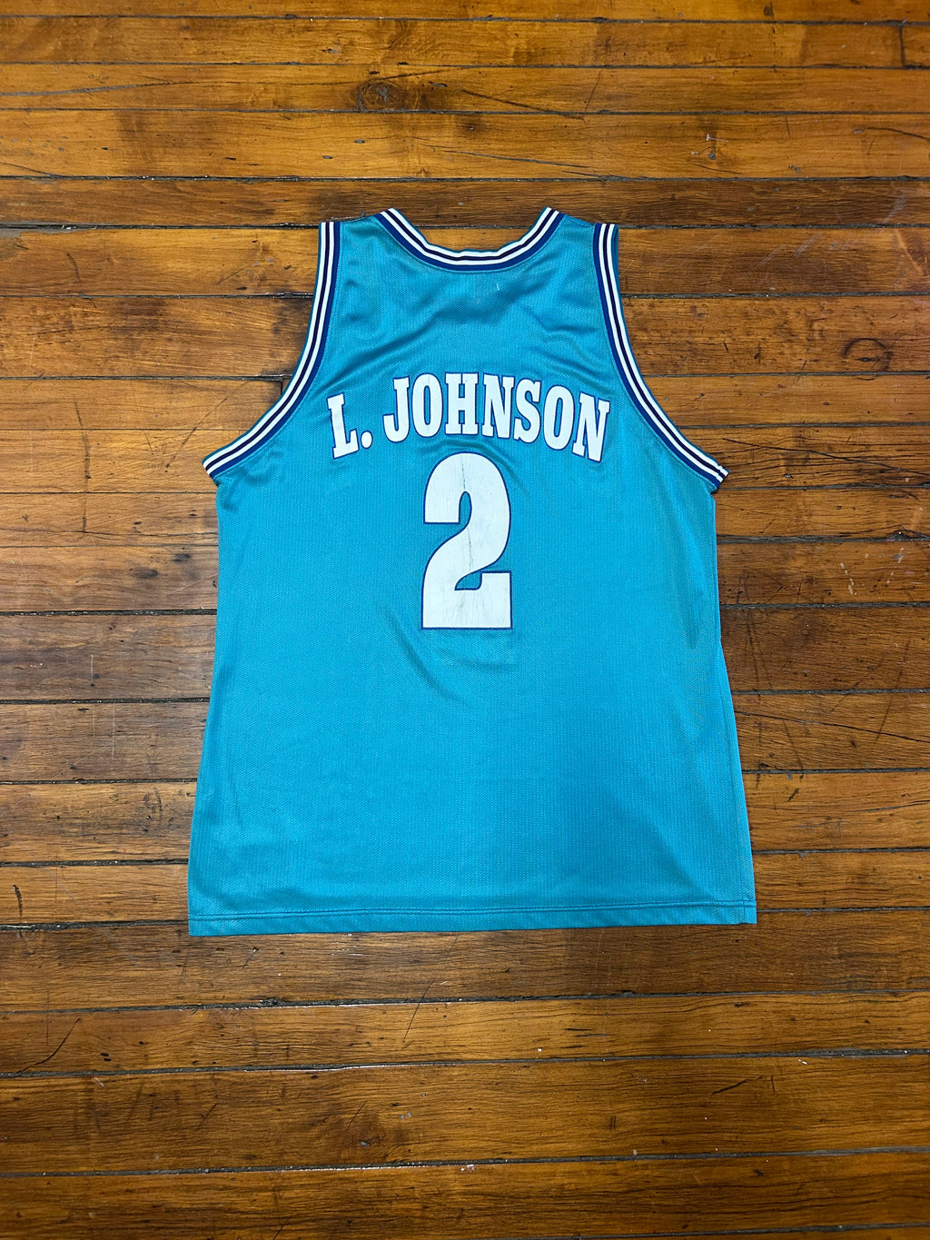 Charlotte Hornets Larry Johnson Jersey #2 90s Champion