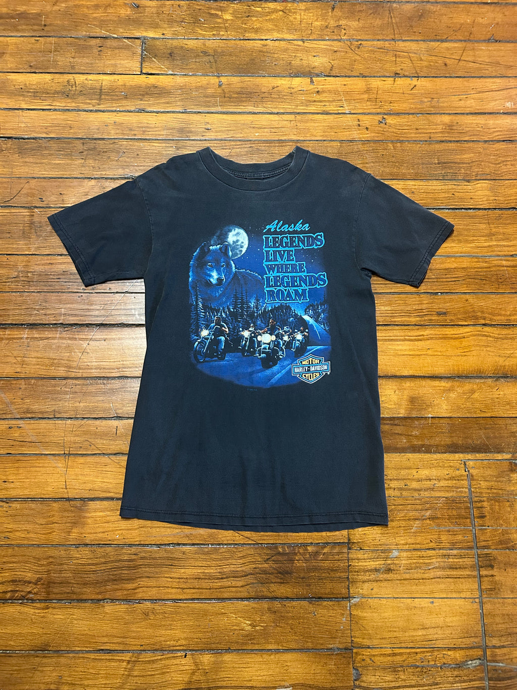 Harley Davidson Motorcycles “Taku Alaska” Vintage T-Shirt