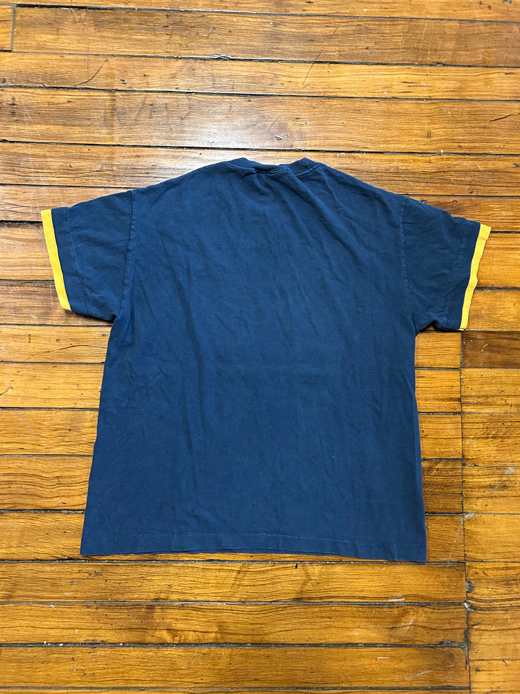 Michigan University Wolverines Vintage 90s T-Shirt